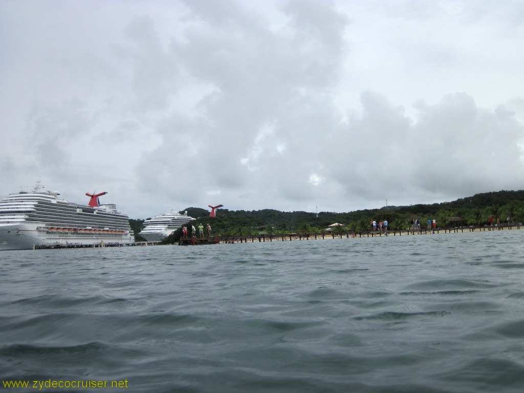 104: Carnival Conquest, Roatan, Snorkeling off of Mahogany Beach, 
