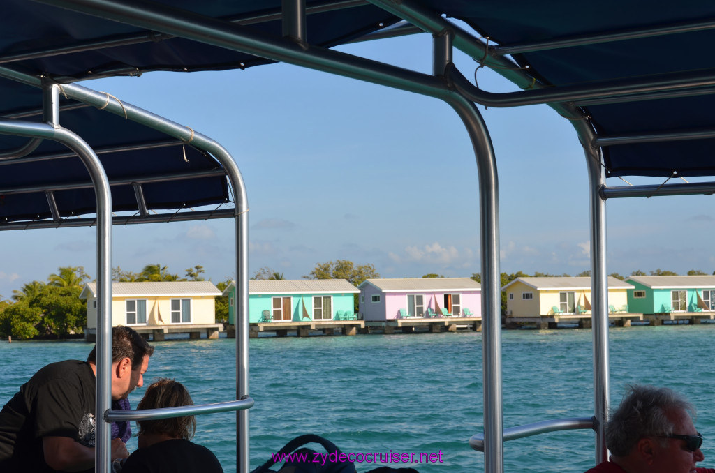 021: Carnival Conquest Cruise, Belize, Sergeant's Cay Snorkel