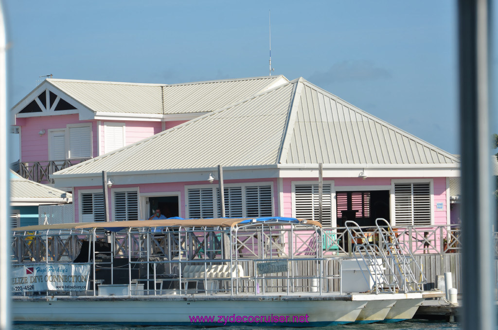 025: Carnival Conquest Cruise, Belize, Sergeant's Cay Snorkel