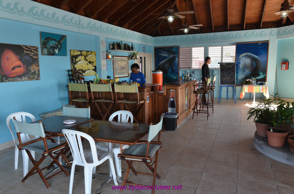 038: Carnival Conquest Cruise, Belize, Sergeant's Cay Snorkel