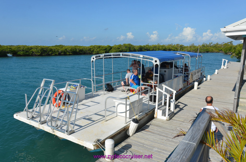 040: Carnival Conquest Cruise, Belize, Sergeant's Cay Snorkel