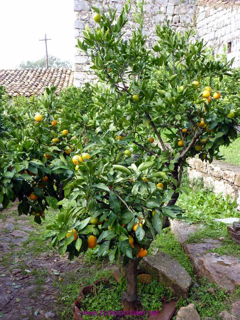 4818: Carnival Dream - Dubrovnik, Croatia - Country Home in Konavle - Some citrus