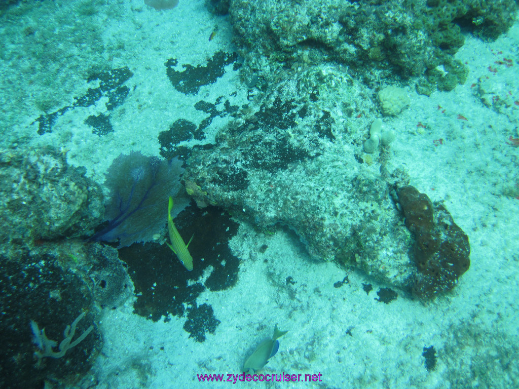064: Carnival Elation Cruise, Cozumel, Two Reef Snorkeling by Boat, 