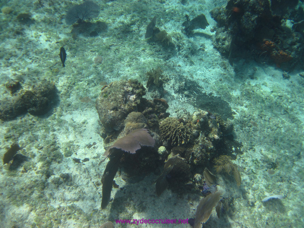 067: Carnival Elation Cruise, Cozumel, Two Reef Snorkeling by Boat, 