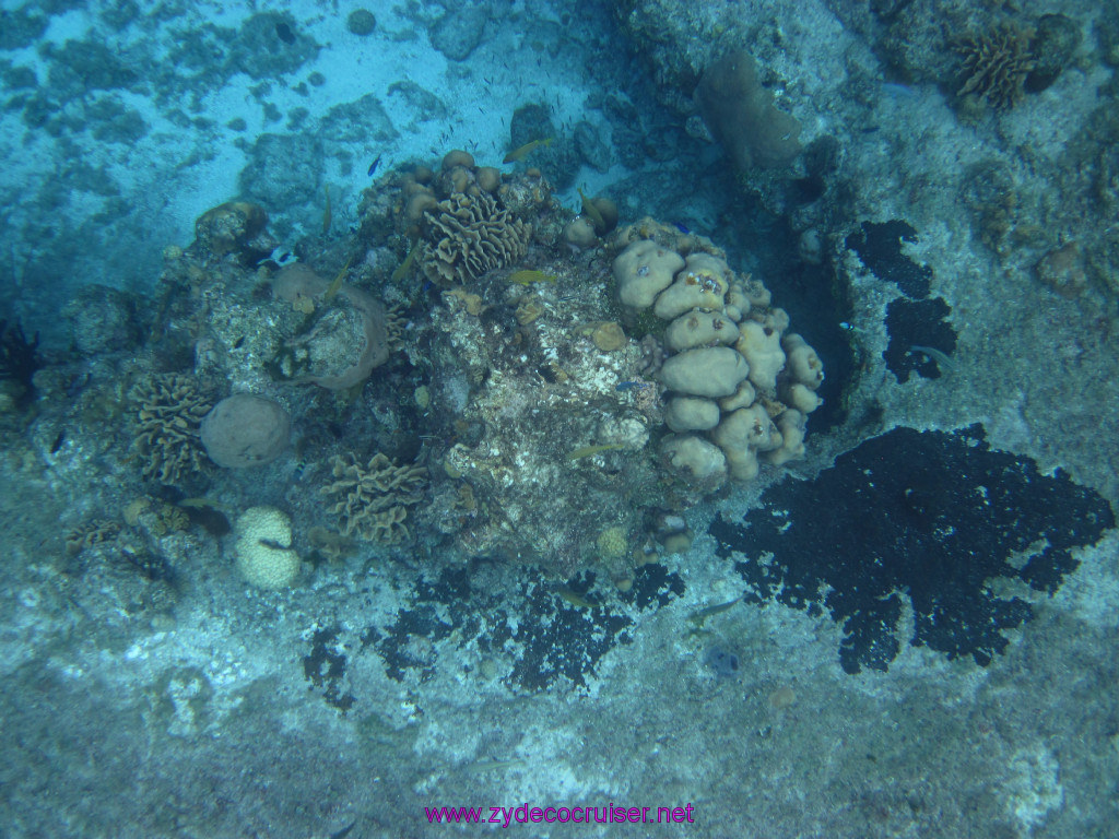 073: Carnival Elation Cruise, Cozumel, Two Reef Snorkeling by Boat, 