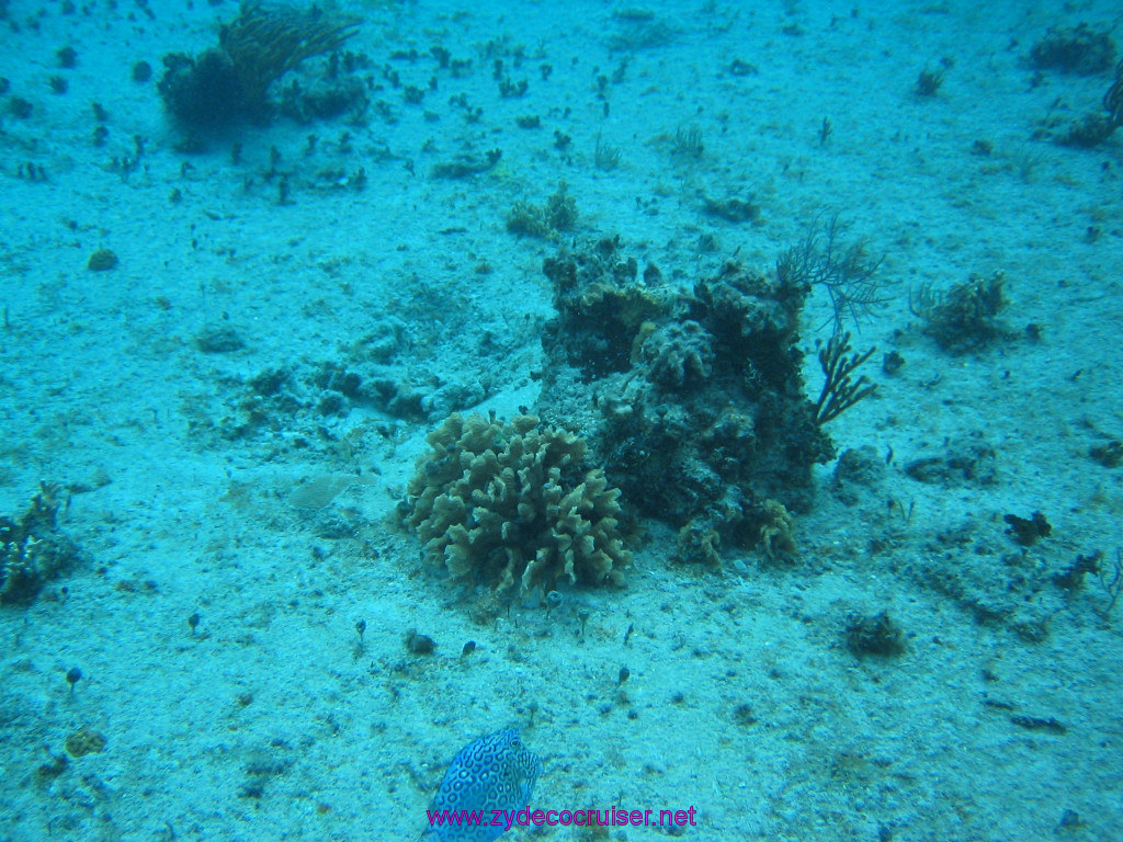 132: Carnival Elation 2004 Cruise, Cozumel, Eagle Ray Divers, 3 Reef Snorkel Tour, 