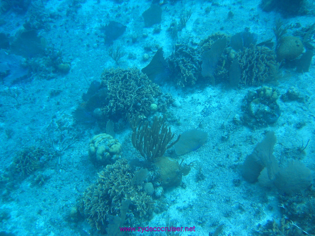 138: Carnival Elation 2004 Cruise, Cozumel, Eagle Ray Divers, 3 Reef Snorkel Tour, 