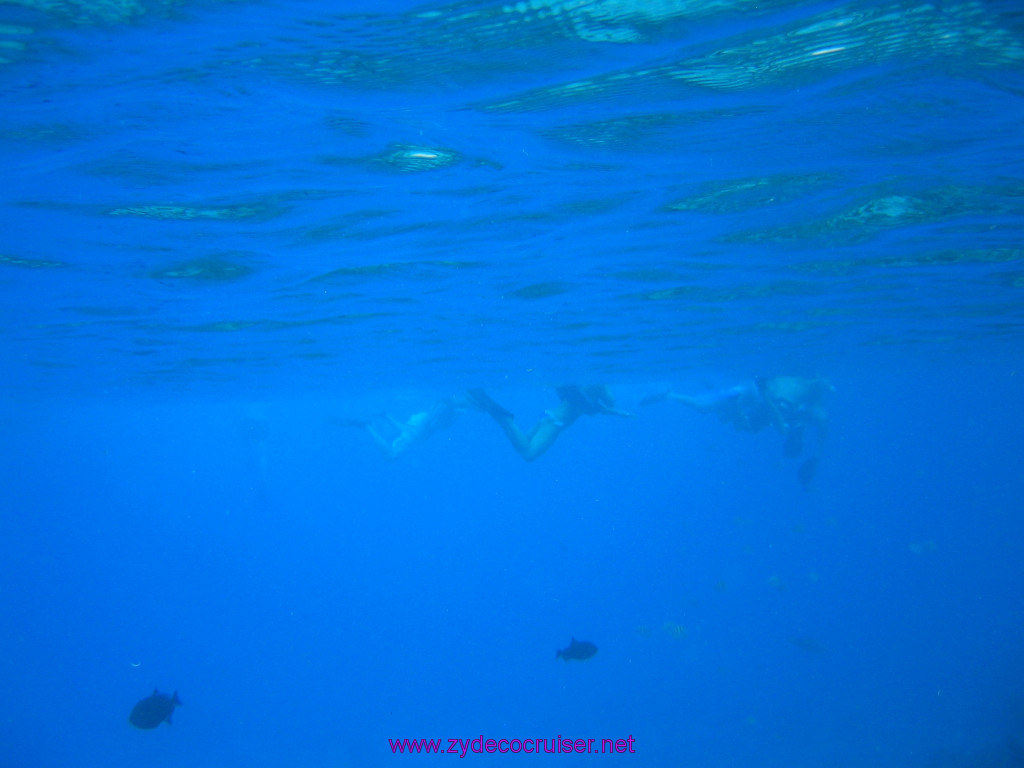 139: Carnival Elation 2004 Cruise, Cozumel, Eagle Ray Divers, 3 Reef Snorkel Tour, 