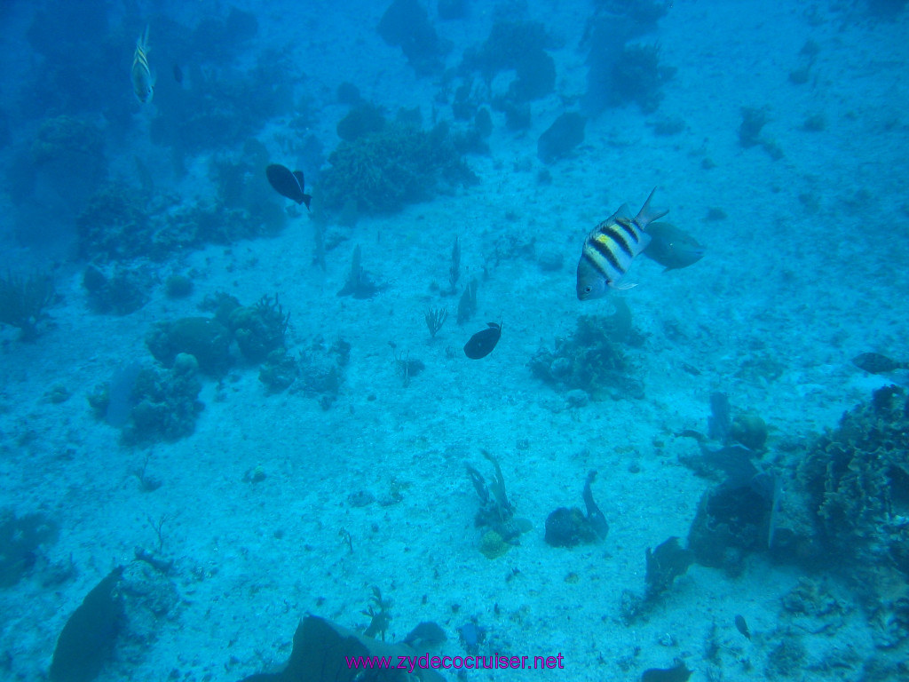 143: Carnival Elation 2004 Cruise, Cozumel, Eagle Ray Divers, 3 Reef Snorkel Tour, 