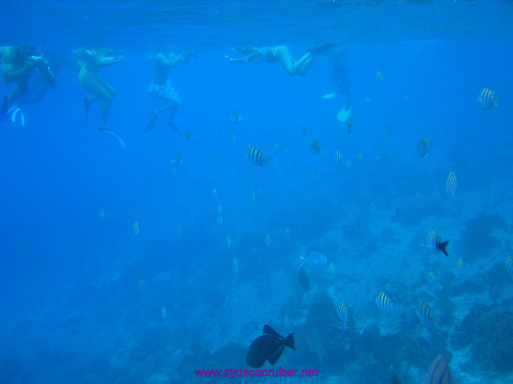 144: Carnival Elation 2004 Cruise, Cozumel, Eagle Ray Divers, 3 Reef Snorkel Tour, 