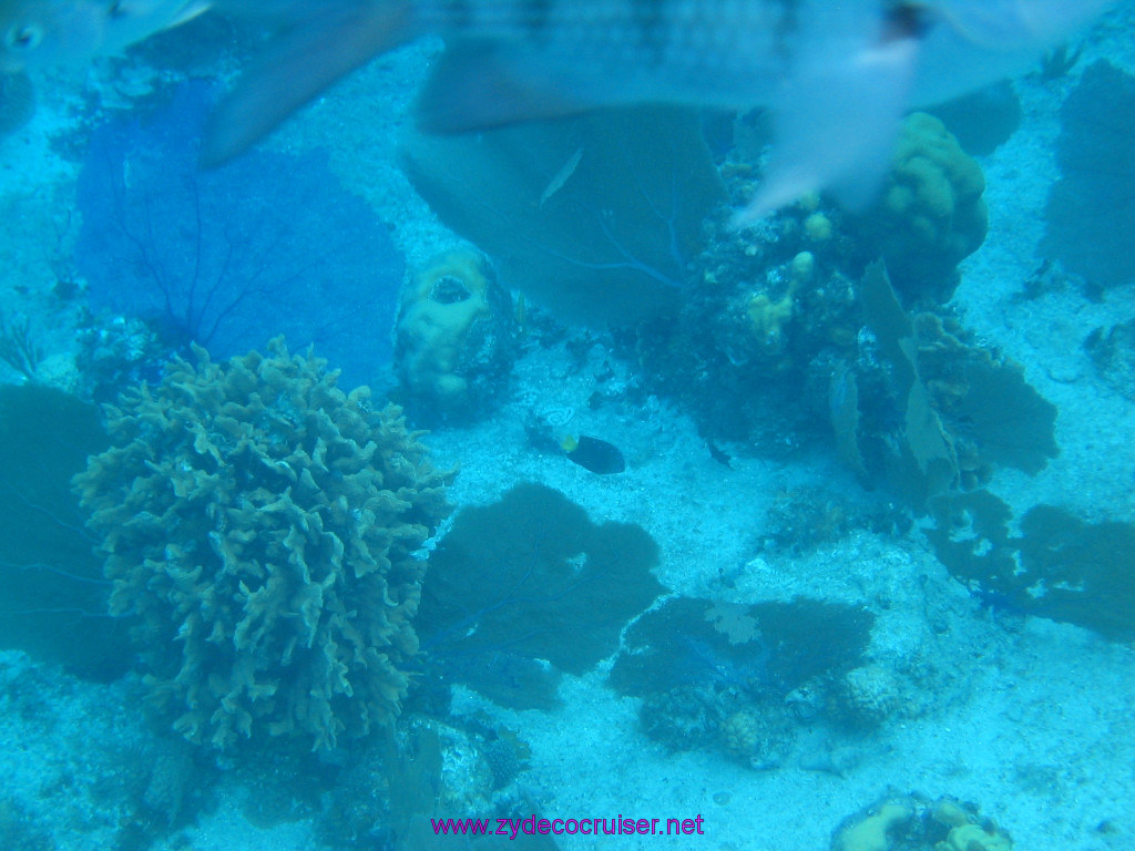 146: Carnival Elation 2004 Cruise, Cozumel, Eagle Ray Divers, 3 Reef Snorkel Tour, 
