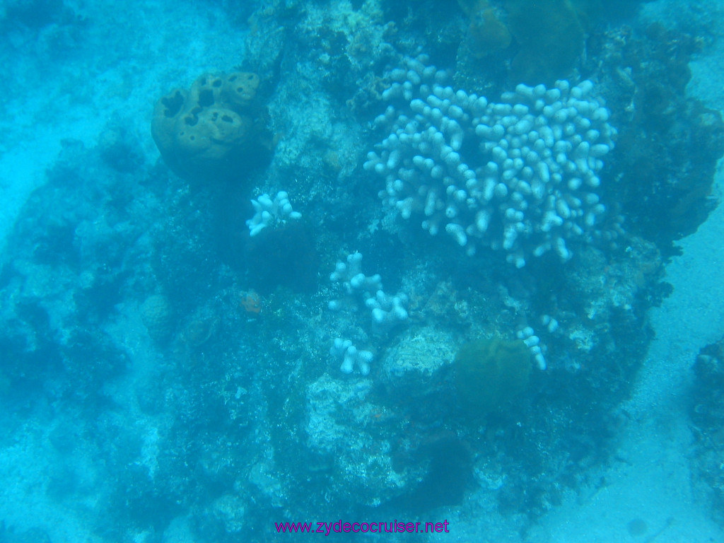 148: Carnival Elation 2004 Cruise, Cozumel, Eagle Ray Divers, 3 Reef Snorkel Tour, 