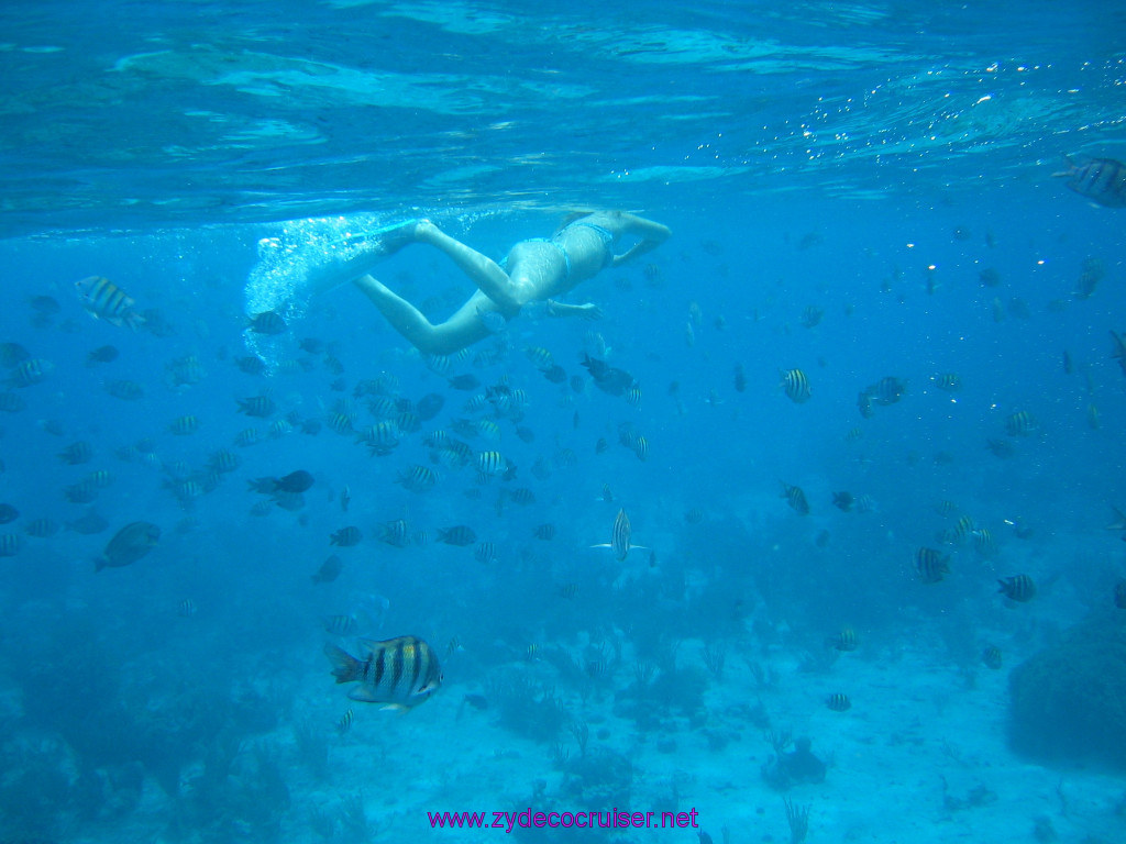 157: Carnival Elation 2004 Cruise, Cozumel, Eagle Ray Divers, 3 Reef Snorkel Tour, 