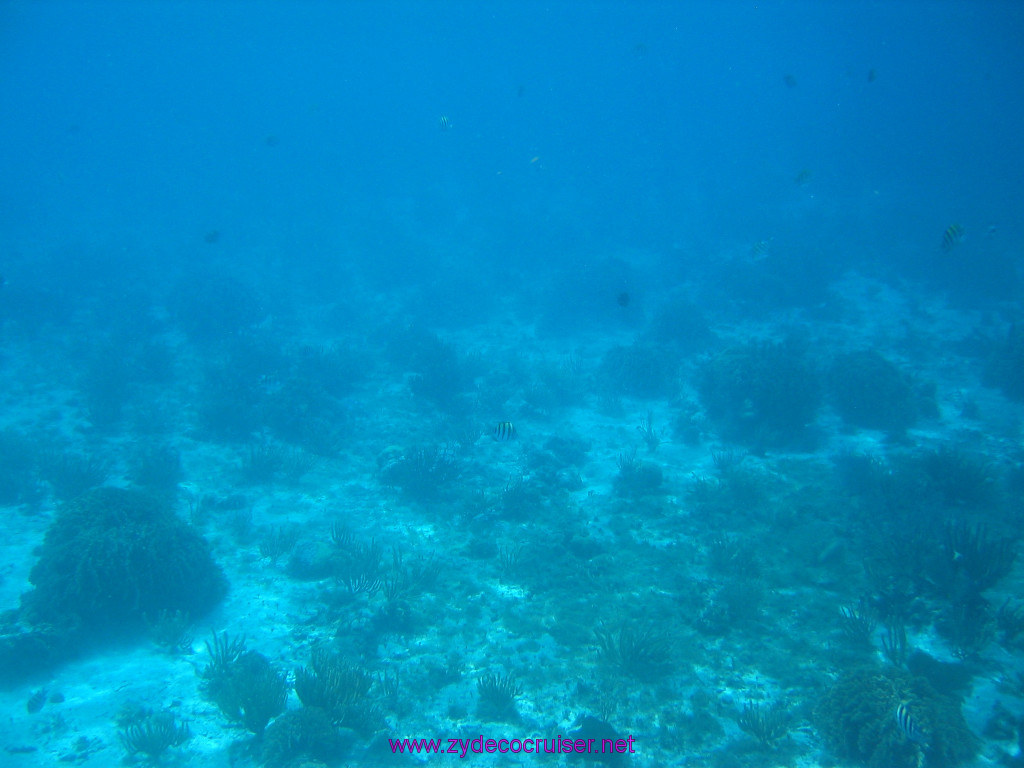 158: Carnival Elation 2004 Cruise, Cozumel, Eagle Ray Divers, 3 Reef Snorkel Tour, 