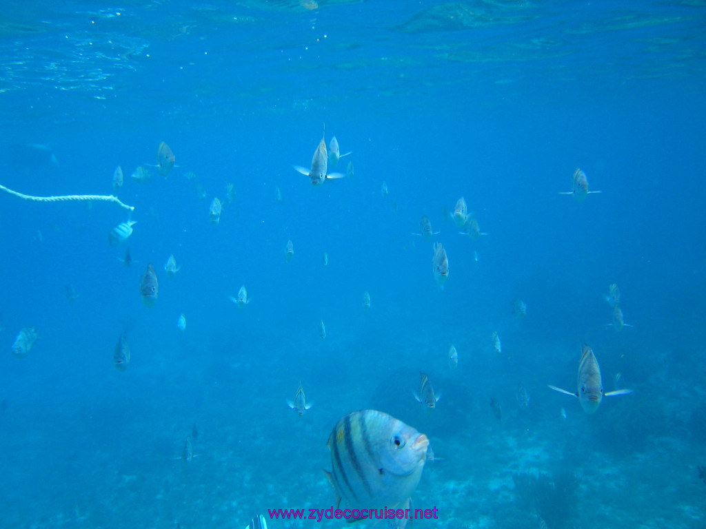163: Carnival Elation 2004 Cruise, Cozumel, Eagle Ray Divers, 3 Reef Snorkel Tour, 