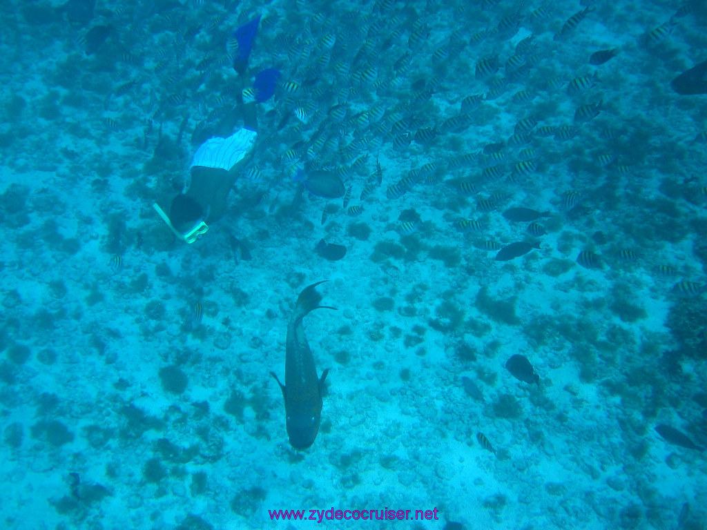 168: Carnival Elation 2004 Cruise, Cozumel, Eagle Ray Divers, 3 Reef Snorkel Tour, 