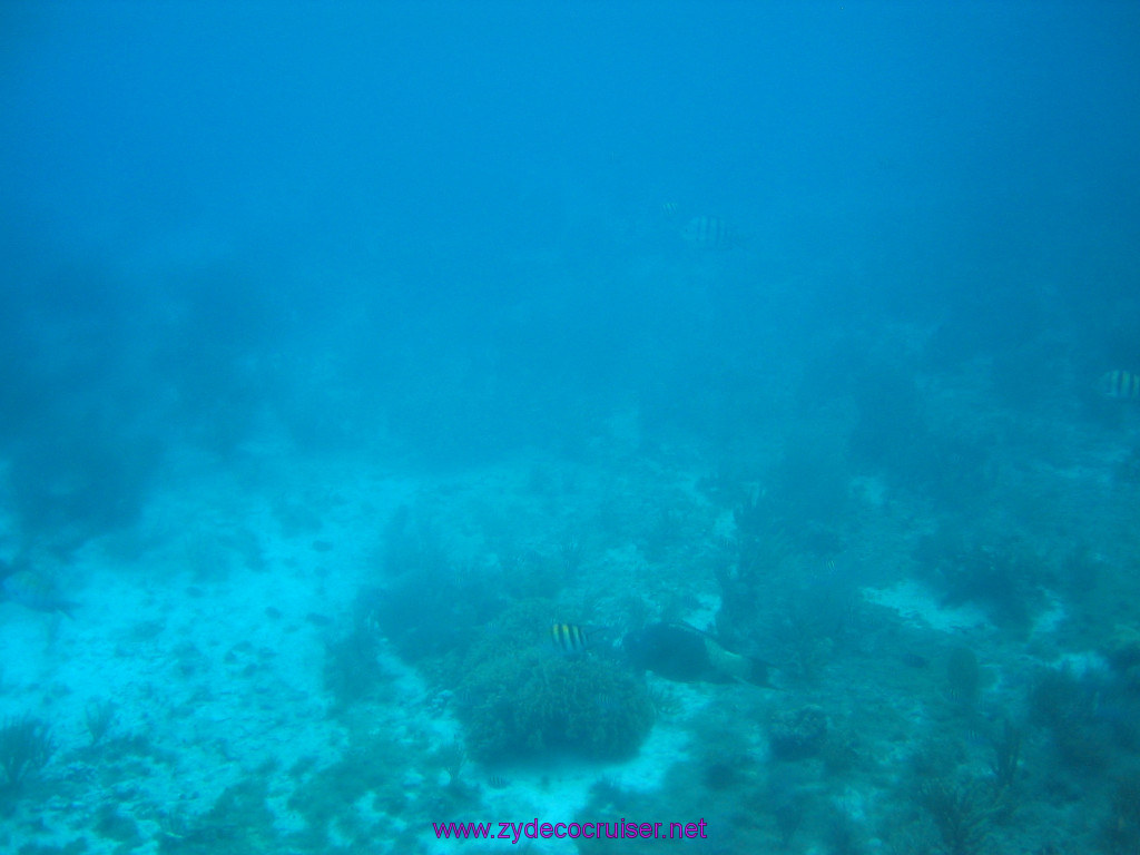 173: Carnival Elation 2004 Cruise, Cozumel, Eagle Ray Divers, 3 Reef Snorkel Tour, 