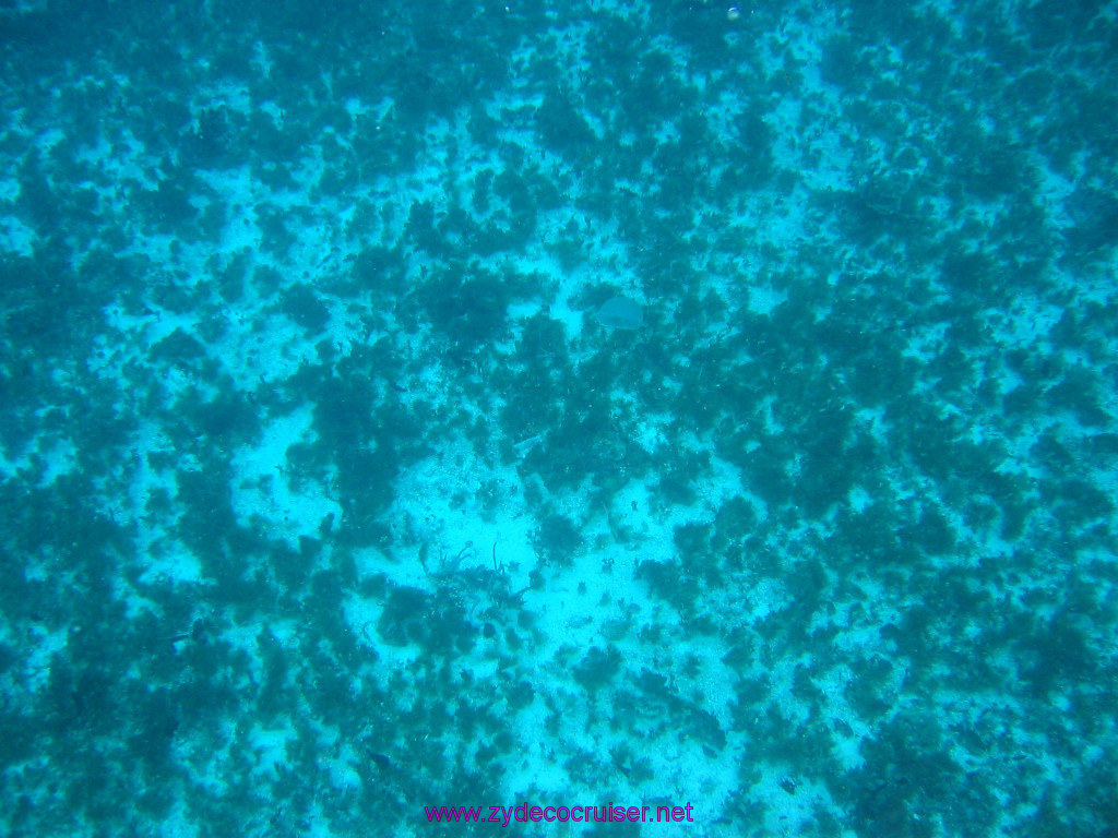 176: Carnival Elation 2004 Cruise, Cozumel, Eagle Ray Divers, 3 Reef Snorkel Tour, 