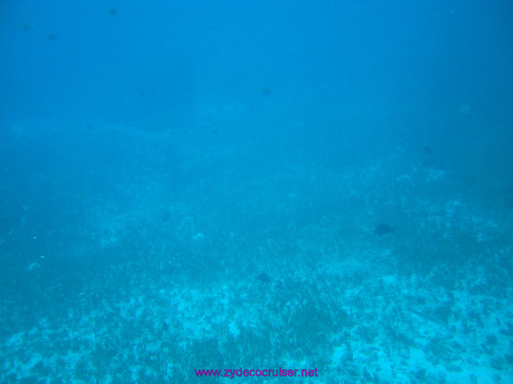 179: Carnival Elation 2004 Cruise, Cozumel, Eagle Ray Divers, 3 Reef Snorkel Tour, 