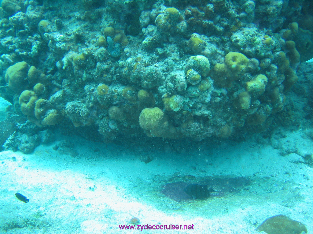 182: Carnival Elation 2004 Cruise, Cozumel, Eagle Ray Divers, 3 Reef Snorkel Tour, 