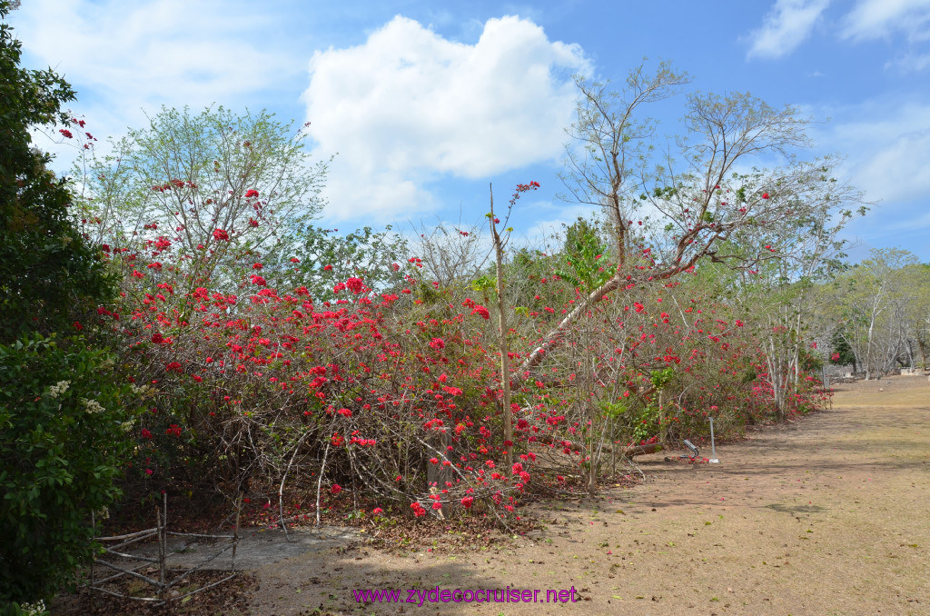 004: Carnival Elation Cruise, Progreso, Uxmal Mayan Ruins, 