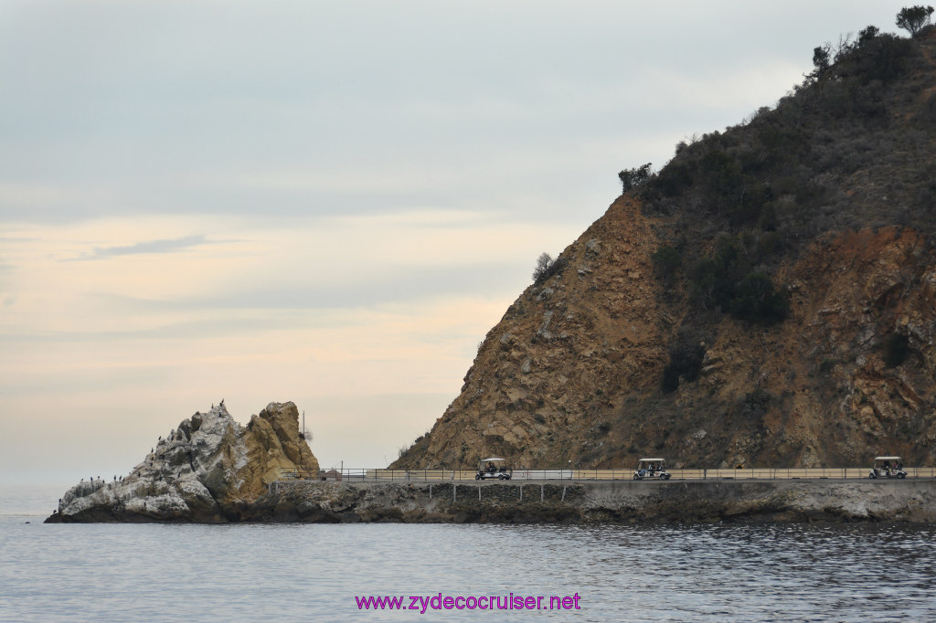 059: Carnival Inspiration, Catalina Island, Coastal Wild Dolphin Adventure, 