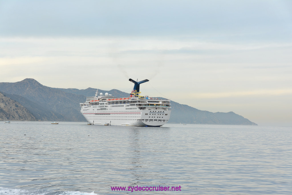 066: Carnival Inspiration, Catalina Island, Coastal Wild Dolphin Adventure, 