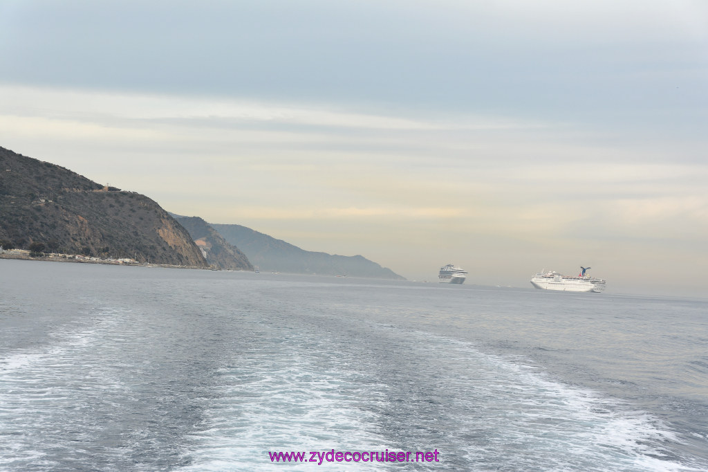 067: Carnival Inspiration, Catalina Island, Coastal Wild Dolphin Adventure, 
