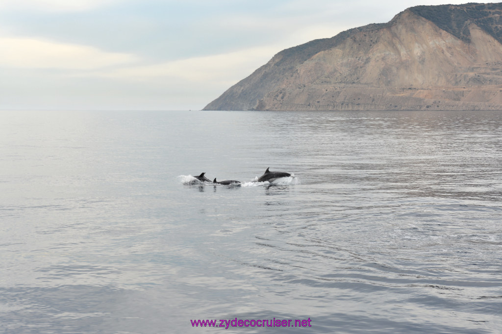 094: Carnival Inspiration, Catalina Island, Coastal Wild Dolphin Adventure, 