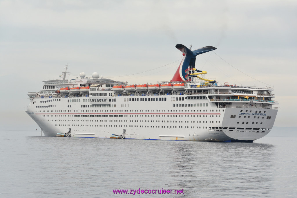319: Carnival Inspiration, Catalina Island, Coastal Wild Dolphin Adventure, 