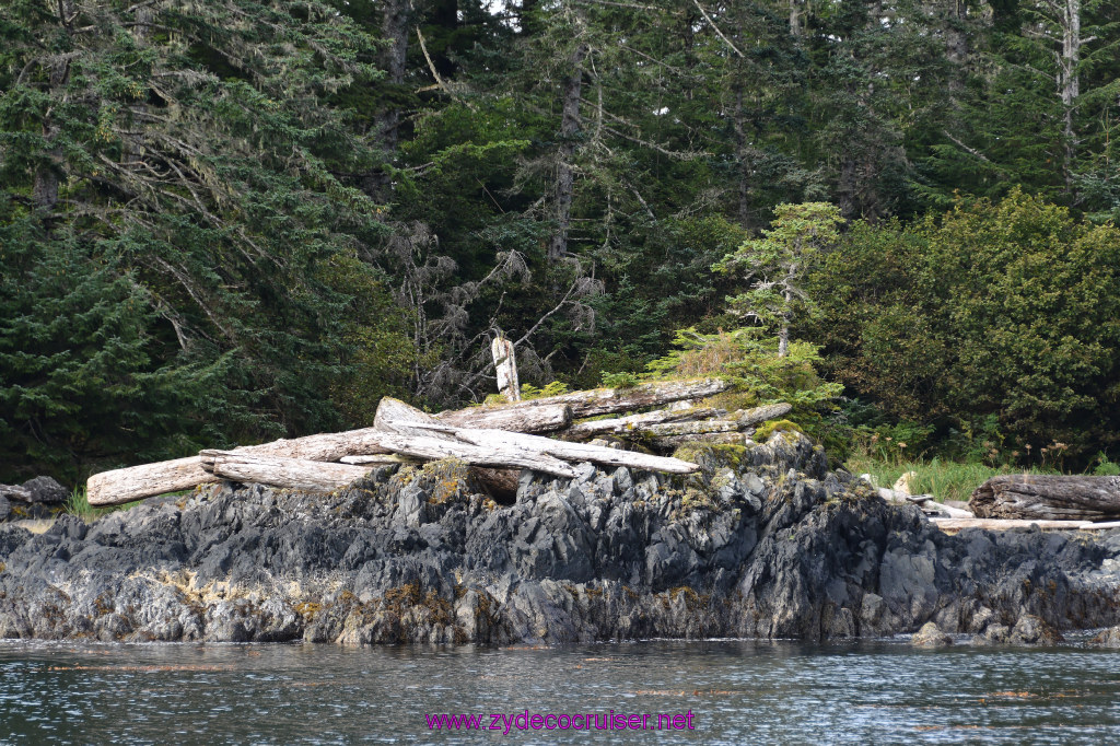 064: Carnival Miracle Alaska Cruise, Sitka, Jet Cat Wildlife Quest And Beach Exploration Excursion