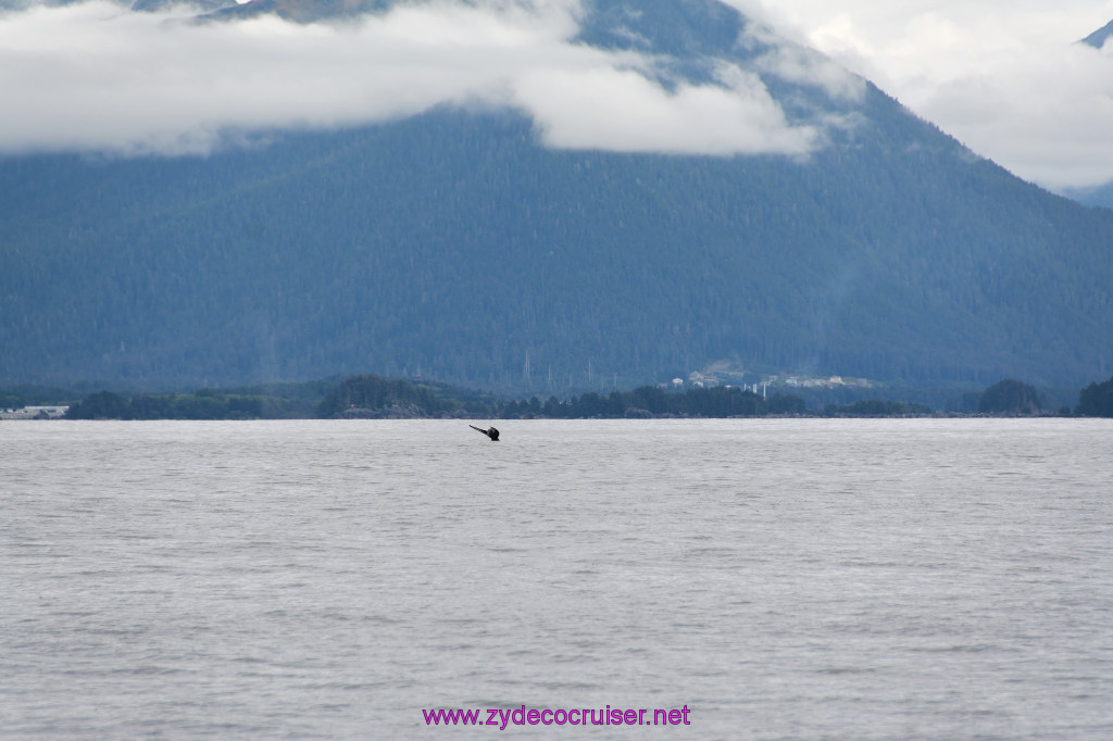 165: Carnival Miracle Alaska Cruise, Sitka, Jet Cat Wildlife Quest And Beach Exploration Excursion, 