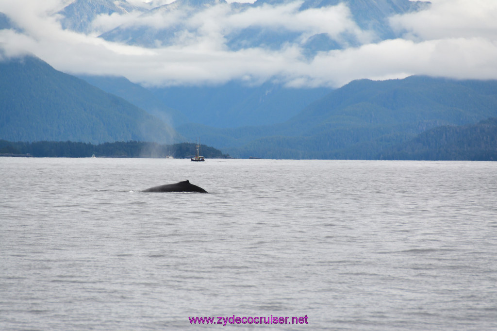 166: Carnival Miracle Alaska Cruise, Sitka, Jet Cat Wildlife Quest And Beach Exploration Excursion, 