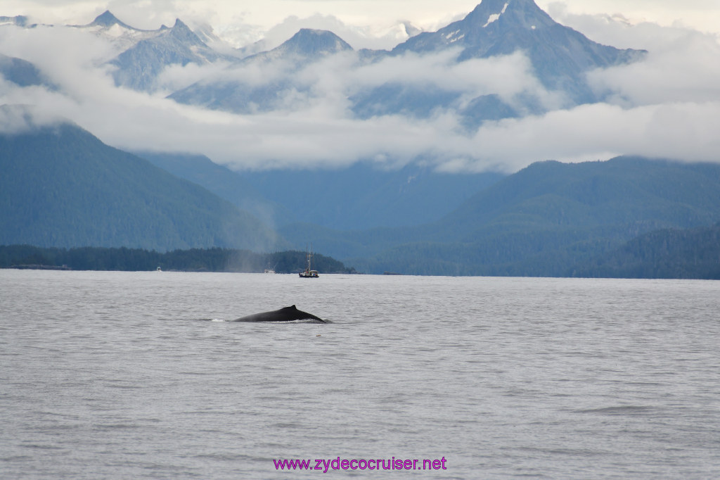 167: Carnival Miracle Alaska Cruise, Sitka, Jet Cat Wildlife Quest And Beach Exploration Excursion, 