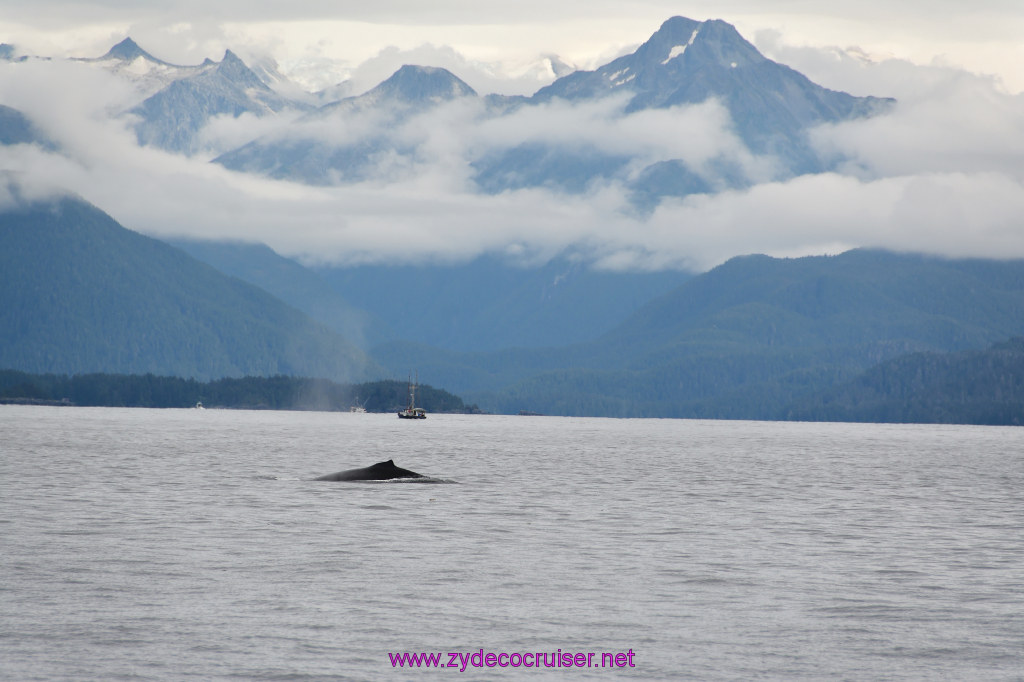 168: Carnival Miracle Alaska Cruise, Sitka, Jet Cat Wildlife Quest And Beach Exploration Excursion, 