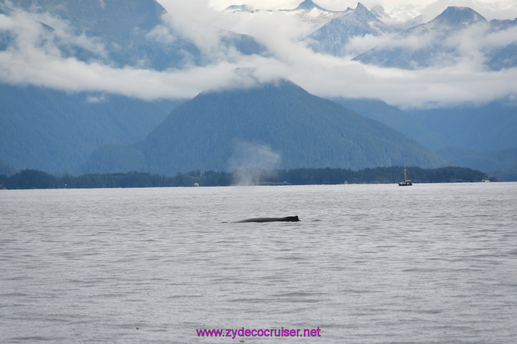 170: Carnival Miracle Alaska Cruise, Sitka, Jet Cat Wildlife Quest And Beach Exploration Excursion, 