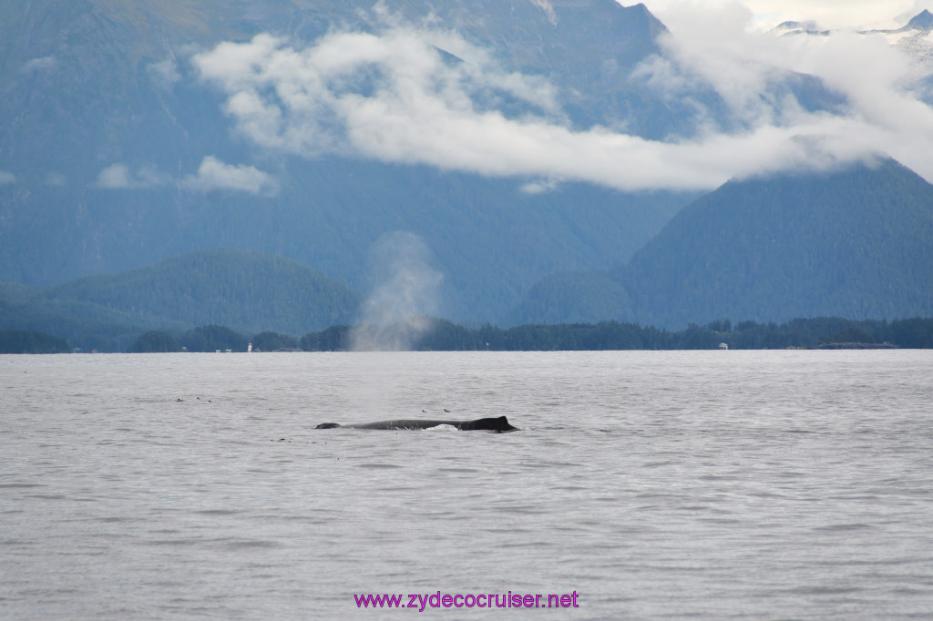 173: Carnival Miracle Alaska Cruise, Sitka, Jet Cat Wildlife Quest And Beach Exploration Excursion, 