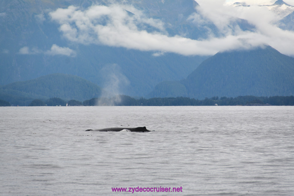174: Carnival Miracle Alaska Cruise, Sitka, Jet Cat Wildlife Quest And Beach Exploration Excursion, 