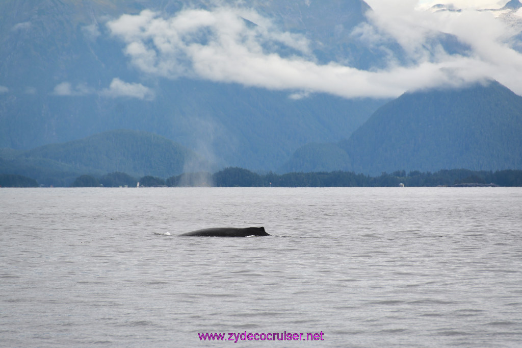 175: Carnival Miracle Alaska Cruise, Sitka, Jet Cat Wildlife Quest And Beach Exploration Excursion, 