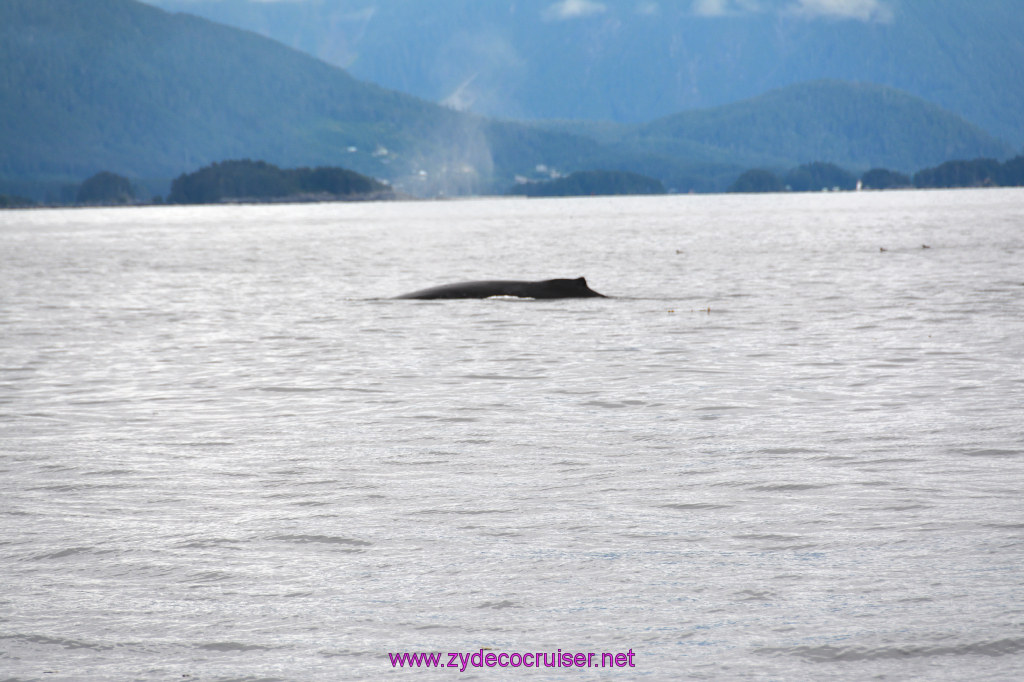 176: Carnival Miracle Alaska Cruise, Sitka, Jet Cat Wildlife Quest And Beach Exploration Excursion, 