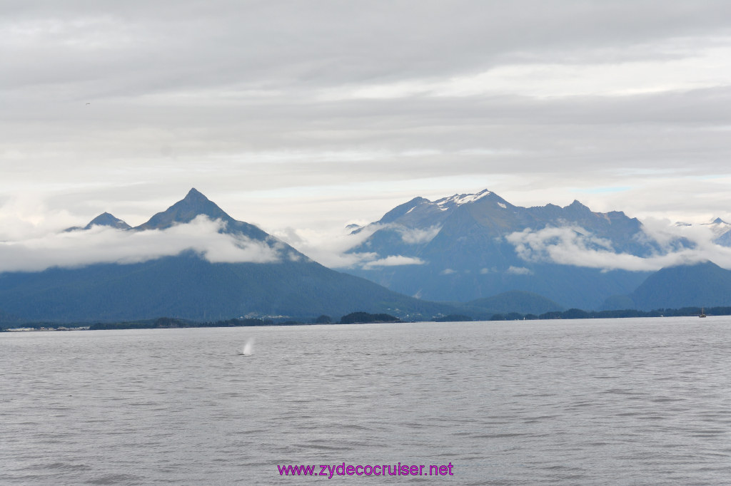 177: Carnival Miracle Alaska Cruise, Sitka, Jet Cat Wildlife Quest And Beach Exploration Excursion, 