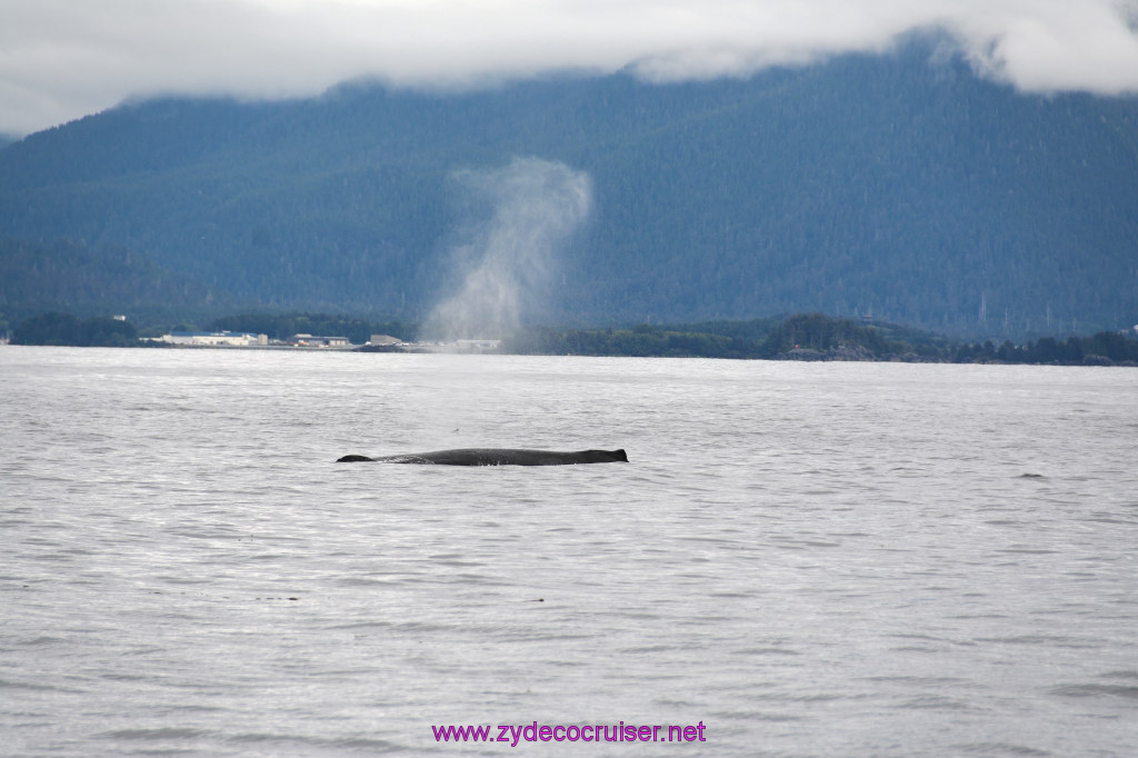 179: Carnival Miracle Alaska Cruise, Sitka, Jet Cat Wildlife Quest And Beach Exploration Excursion, 