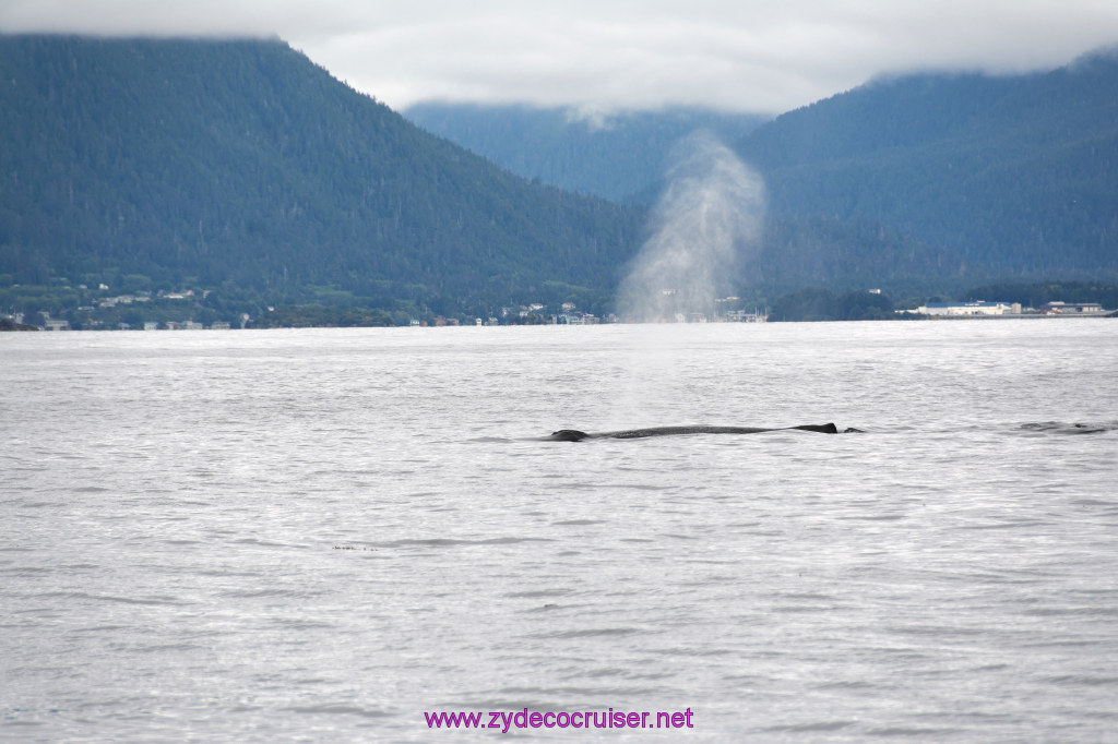 180: Carnival Miracle Alaska Cruise, Sitka, Jet Cat Wildlife Quest And Beach Exploration Excursion, 