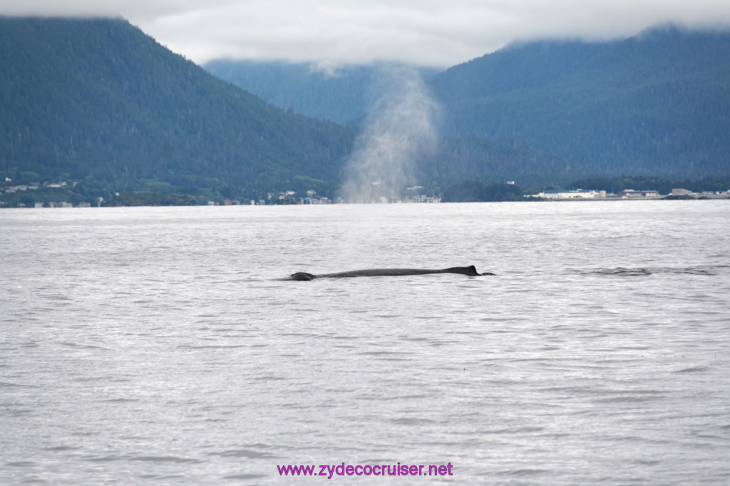 181: Carnival Miracle Alaska Cruise, Sitka, Jet Cat Wildlife Quest And Beach Exploration Excursion, 