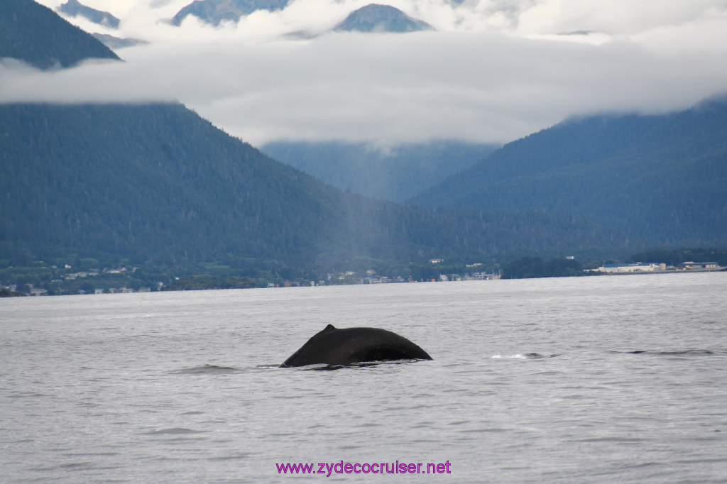 182: Carnival Miracle Alaska Cruise, Sitka, Jet Cat Wildlife Quest And Beach Exploration Excursion, 