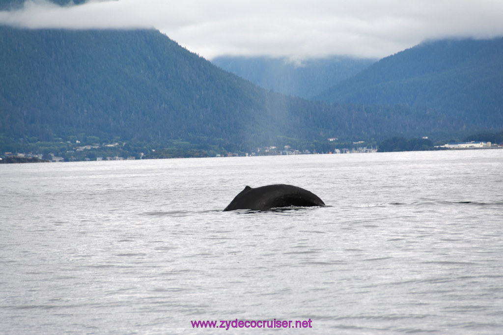 183: Carnival Miracle Alaska Cruise, Sitka, Jet Cat Wildlife Quest And Beach Exploration Excursion, 