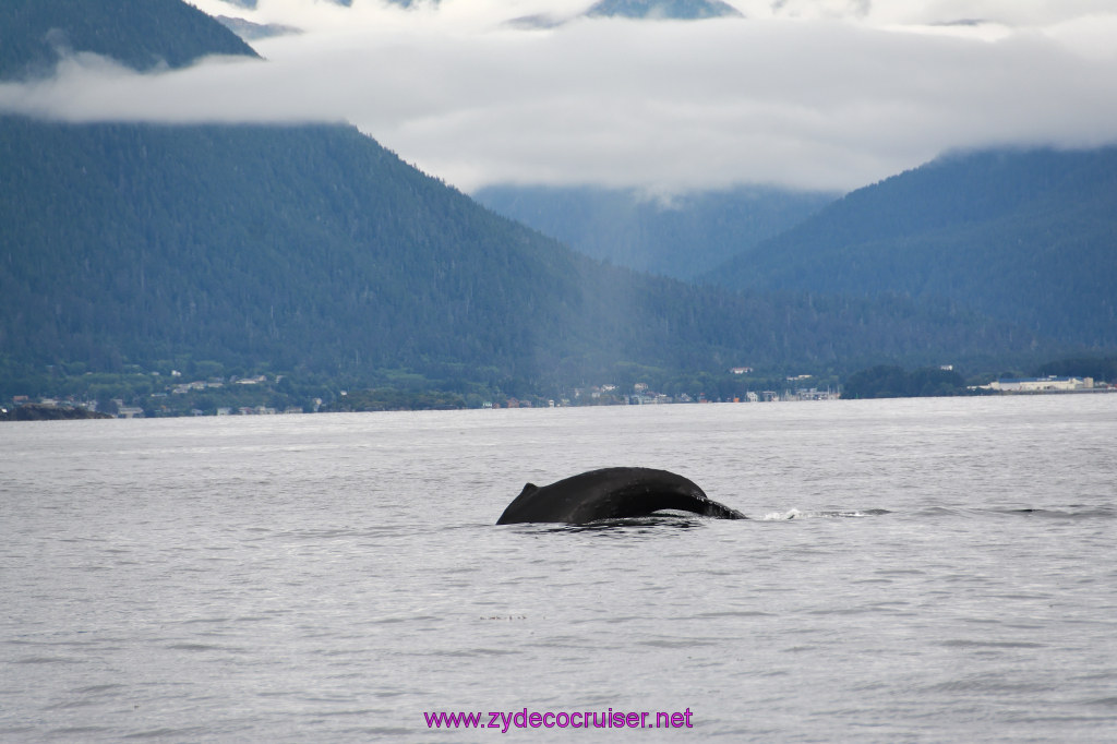 184: Carnival Miracle Alaska Cruise, Sitka, Jet Cat Wildlife Quest And Beach Exploration Excursion, 