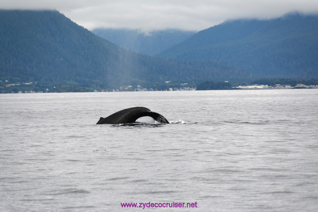 185: Carnival Miracle Alaska Cruise, Sitka, Jet Cat Wildlife Quest And Beach Exploration Excursion, 