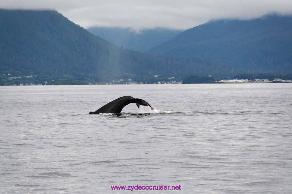 186: Carnival Miracle Alaska Cruise, Sitka, Jet Cat Wildlife Quest And Beach Exploration Excursion, 