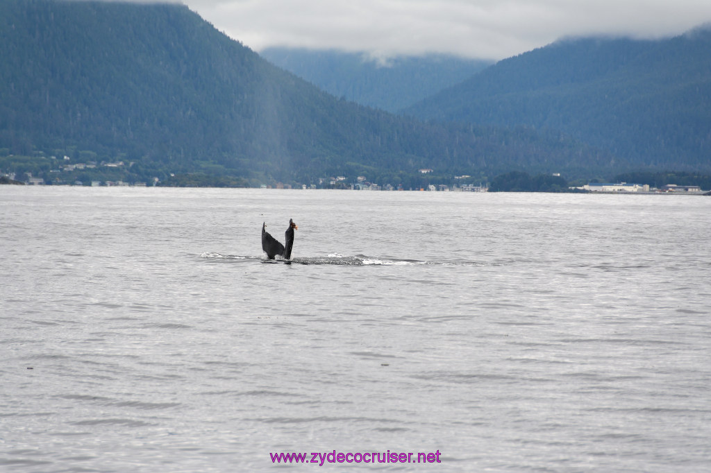 188: Carnival Miracle Alaska Cruise, Sitka, Jet Cat Wildlife Quest And Beach Exploration Excursion, 